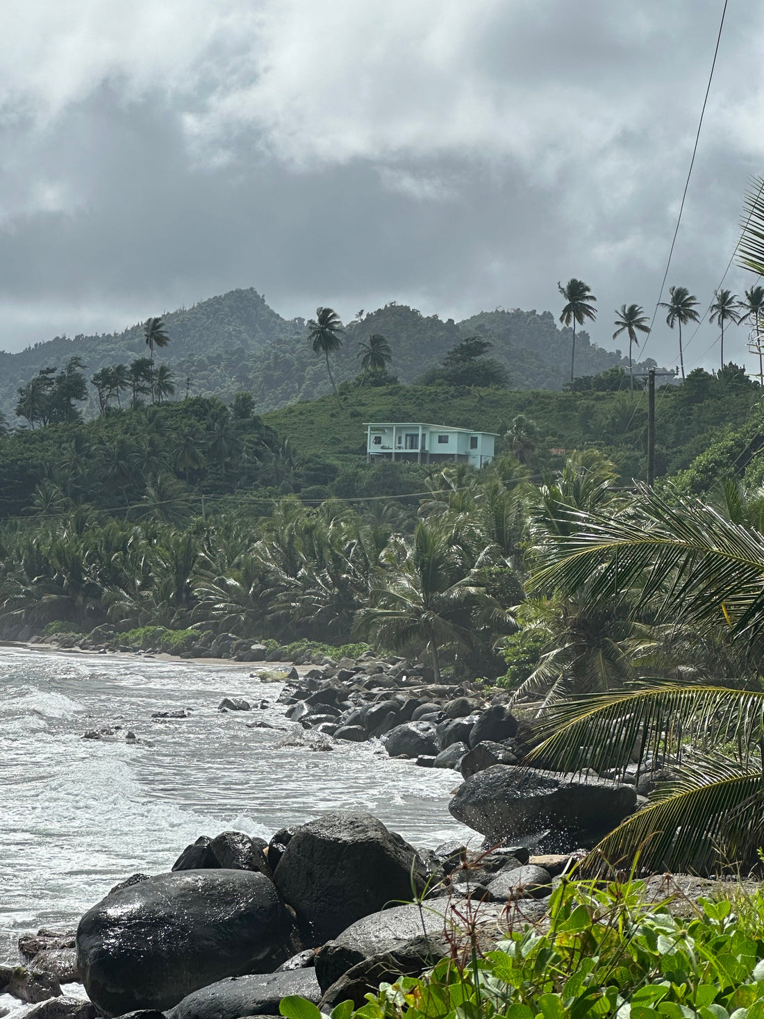 Escape to Nature Island