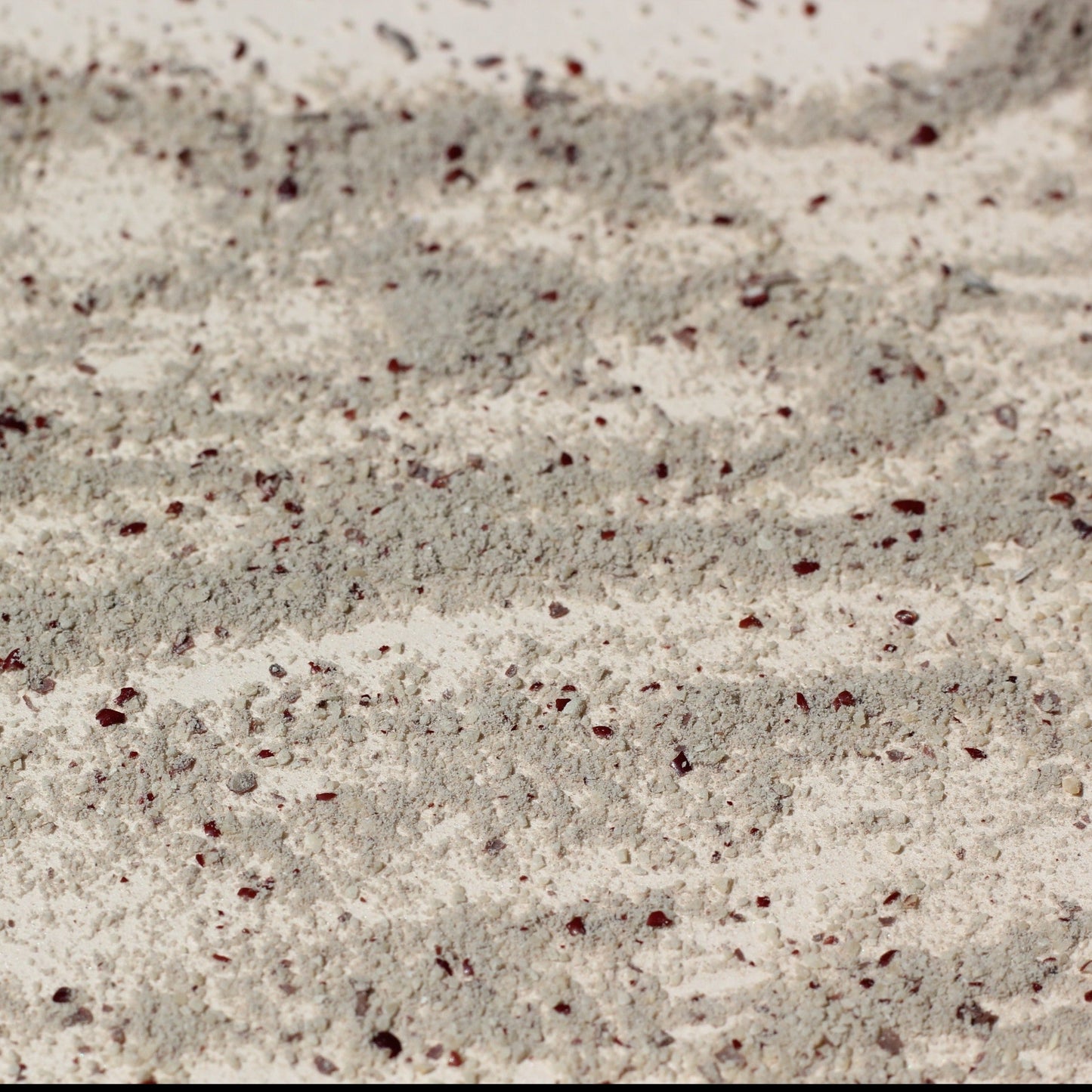 Cecile's facial grains up close