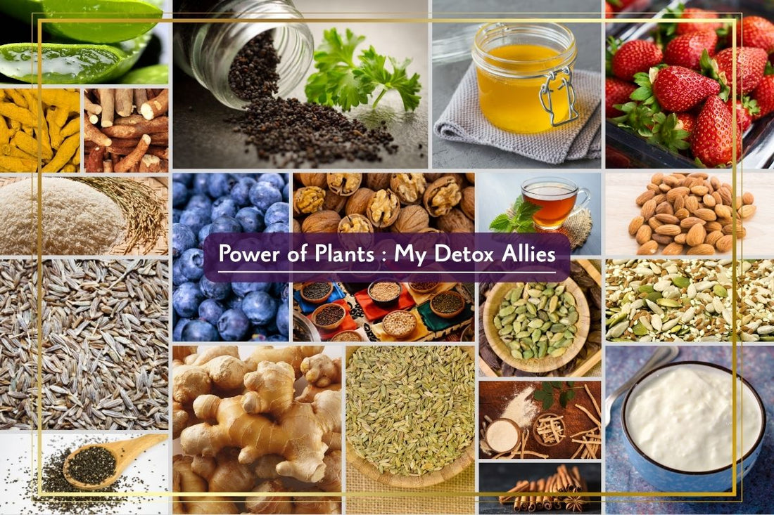 The Menopause Detox: A 5-Day Plan to Heal from Within
