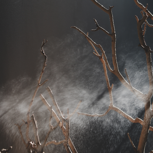 Tree branches against a dark, misty background
