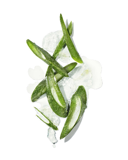 Masami Aloe Vera Ingredient