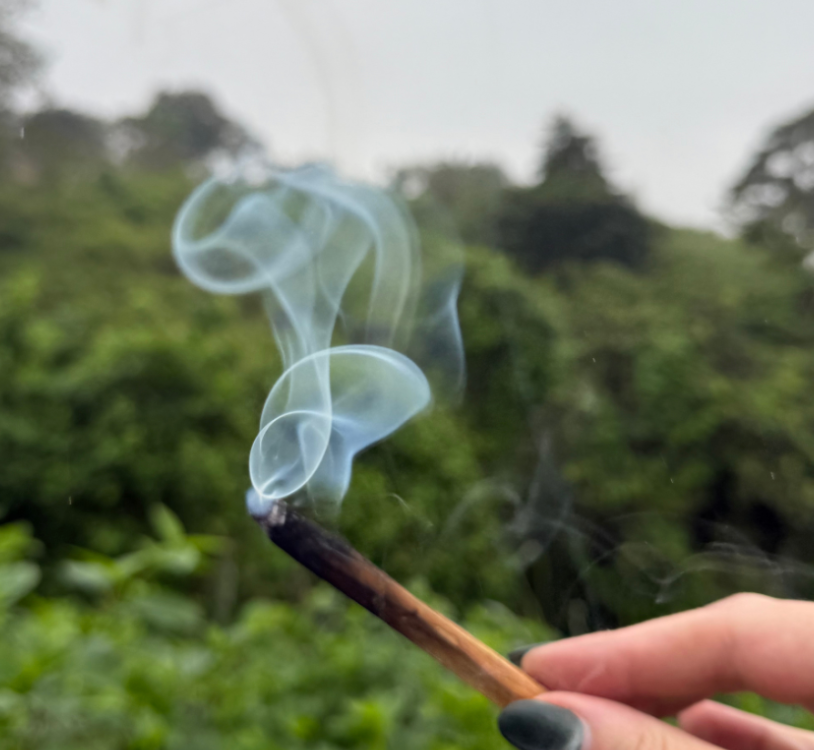 A lit wooden palo santo stick with curling white smoke, held by a hand against a blurred green forest background.