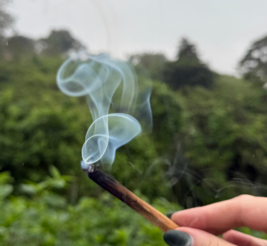 A lit wooden palo santo stick with curling white smoke, held by a hand against a blurred green forest background.
